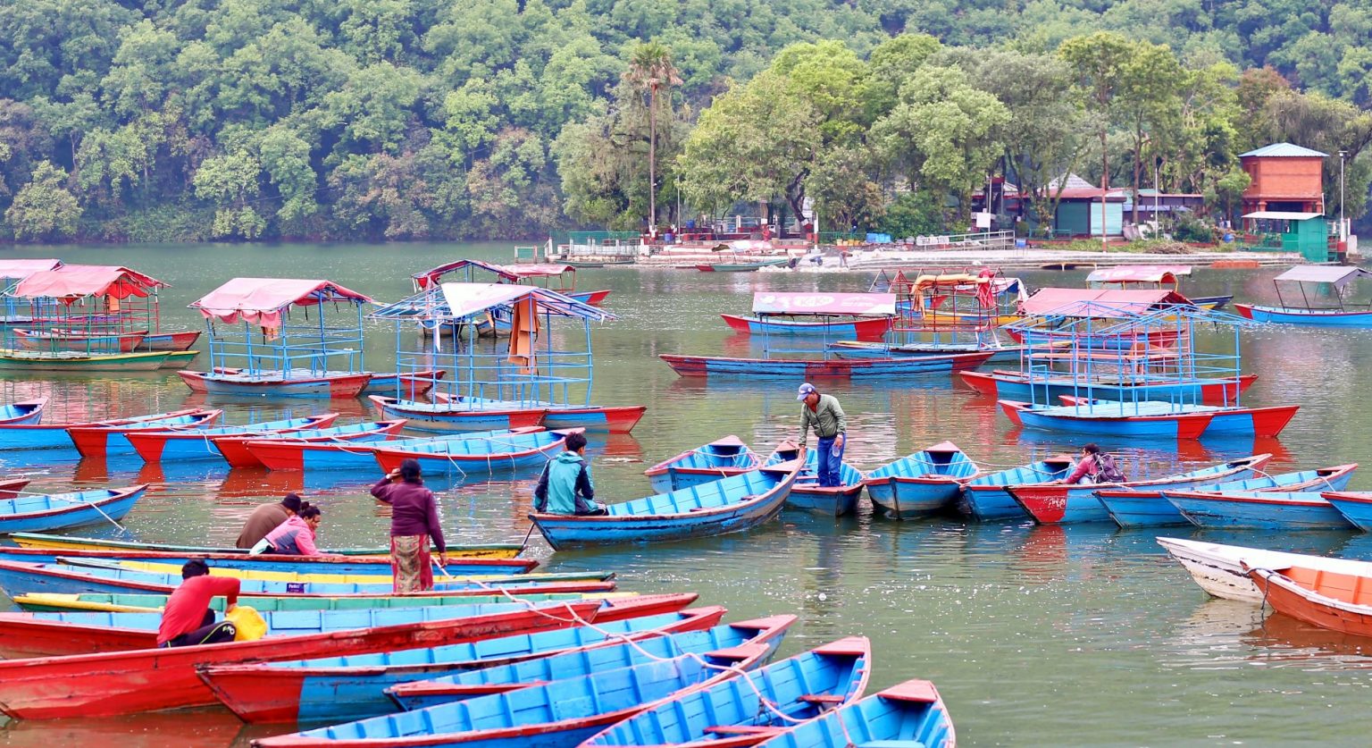 फेवातालको जलाधार क्षेत्र व्यवस्थापनमा जोड